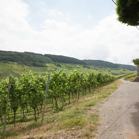 Appartement Malerisches In